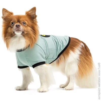 Pet Fashion  Oscar       XS2 (4823082441372)