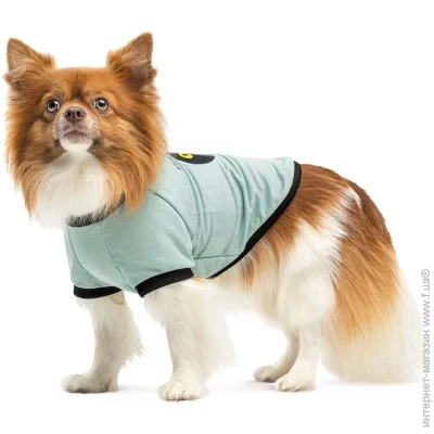 Pet Fashion  Oscar       XS (4823082441389)