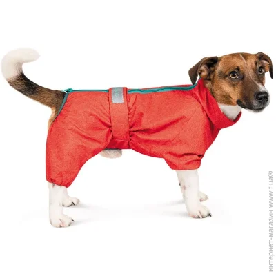  Pet Fashion RAIN ML  (4823082425655)