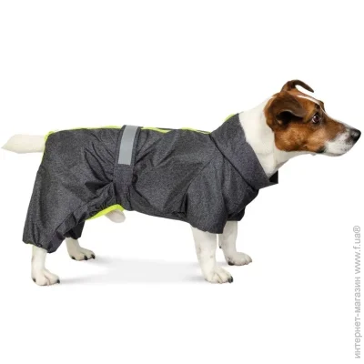  Pet Fashion RAIN S  (4823082426430)