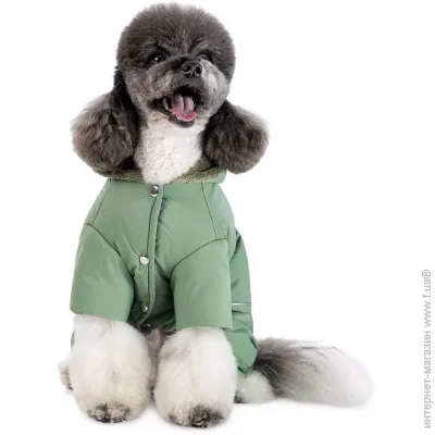 Pet Fashion  Richi XS2   (4823082443789)