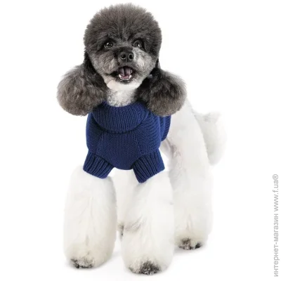  Pet Fashion  Sam  ,  L  (4823082442294)