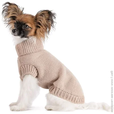  Pet Fashion  Sam  ,  S  (4823082442461)