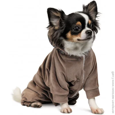    Pet Fashion Soft S  (4823082427895)