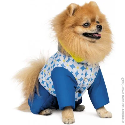  Pet Fashion TENDER S (4823082427642)