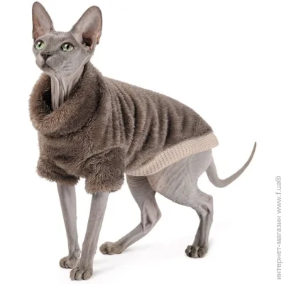  Pet Fashion  Tim   , L  (4823082442621)