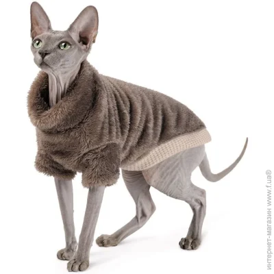 Pet Fashion  Tim   ,  XS  (4823082442591)
