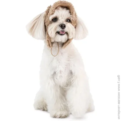 Pet Fashion  Valley  ,  S  (4823082442492)