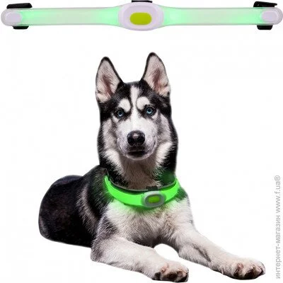  Petsaber   LED Light Maxi (17638)