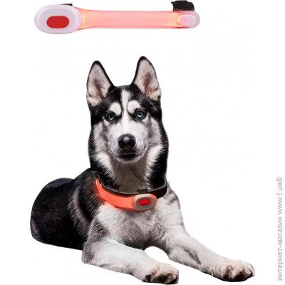  Petsaber   LED Light Mini (17637)