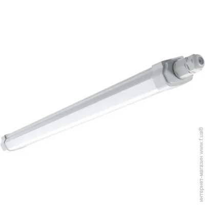  Philips   16     911401824282