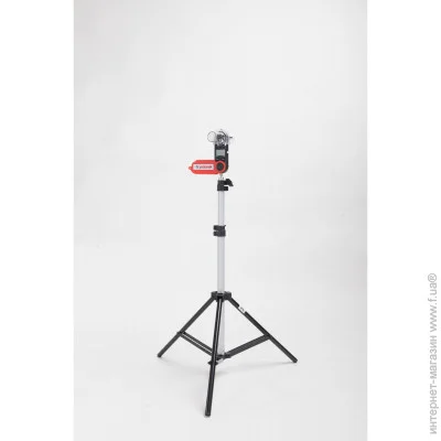 Polanik       CWG19