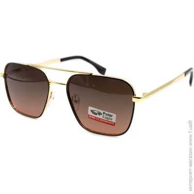    Polar Eagle 06211-c5 (45583)