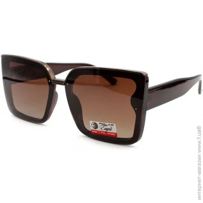Polar Eagle   () Polar Eagle 07040-c2 (27374)