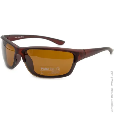    Polar Eagle 8213-C2 (49029)