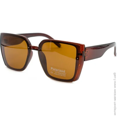    Polarized 03009-C2 (45579)