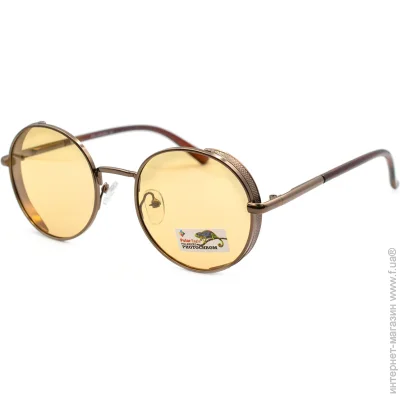    Polarized 06120-C2 (40800)