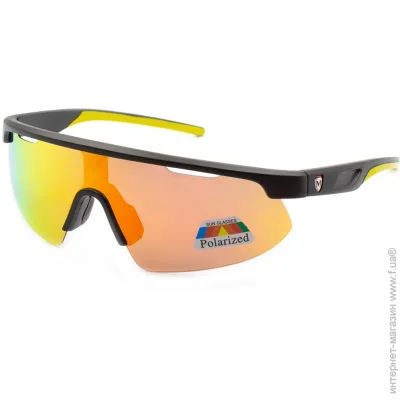   Polarized P016-C3 (50330)