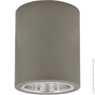 Polux   JUPITER 312419 (312419-PLX)