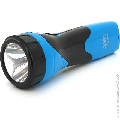  Power Master  YJ-209,1 led, 2 , 18650.  220V, IP40,1705543, BOX