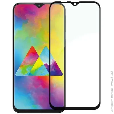   PowerPlant   Full screen  Samsung Galaxy M20, Black (2477902400)