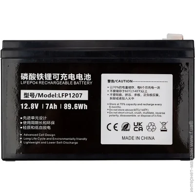    PowerPlant  LiFePO4 12.8 V 7 Ah (2611916294)