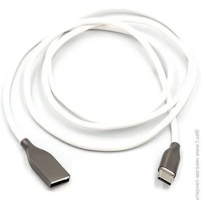  PowerPlant USB to Type-C, 1, white (CA910717)