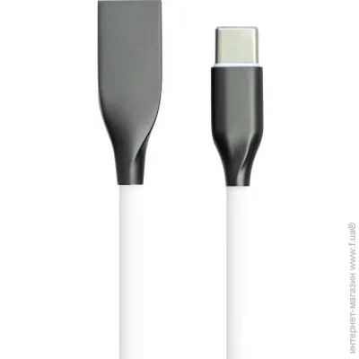  PowerPlant USB to Type-C, 1, white (CA910717)