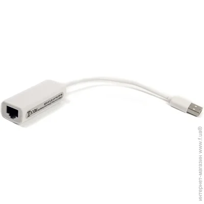 PowerPlant  USB-A - Ethernet RJ45, 15cm (2477906527)