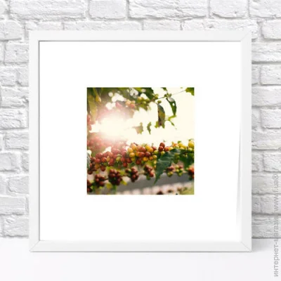  Presentville       30x30  (WKMT_COF004_WH)