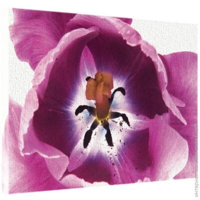    Presentville   4565  (H4565_TSV006)