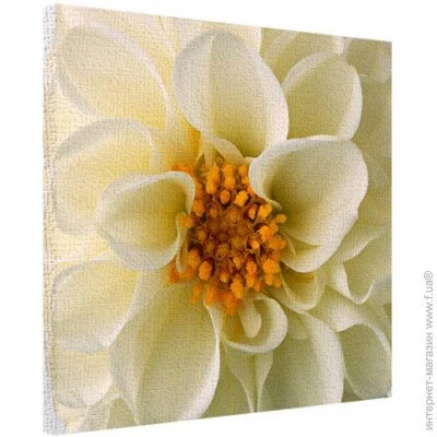    Presentville   5050  (H5050_TSV013)