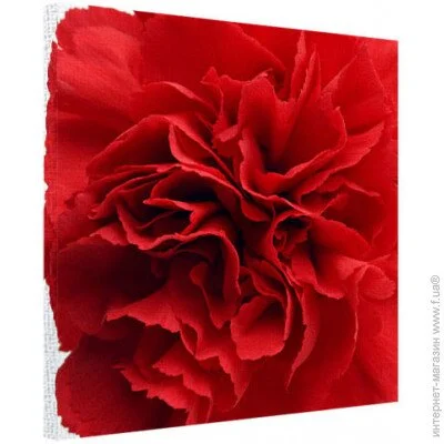   Presentville   5050  (H5050_TSV014)