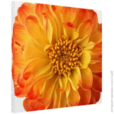    Presentville  5050  (H5050_TSV016)