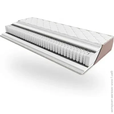  Primavera   MIO 120200 (2503771202003)