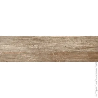  Prissmacer  Trento Antic 20x75