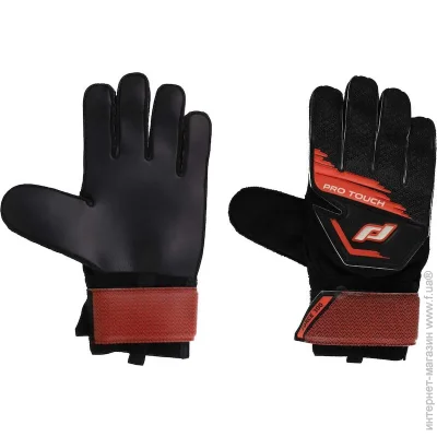   Pro Touch   FORCE 300 AG 413204-901050 10 