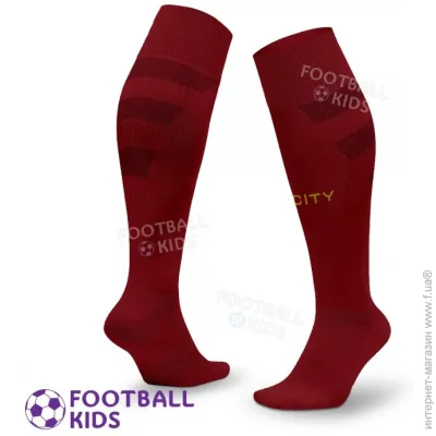  Professional      2024-2025 Third (3631-125236)