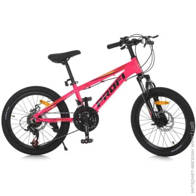 Profi   MTB2001-3, 20 , 