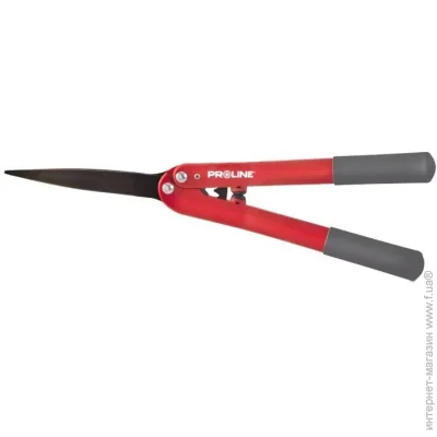 Proline 580  65 Mn 40077