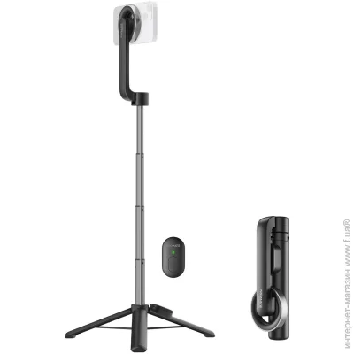 Promate (-)   magstick