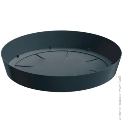 Prosperplast ϳ Loftly   12,5  (70775-433)