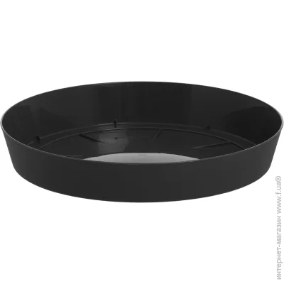 Prosperplast ϳ Loftly   30,5  (70780-433)