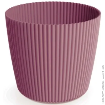 PRP    Milly  7   (73588-4985)