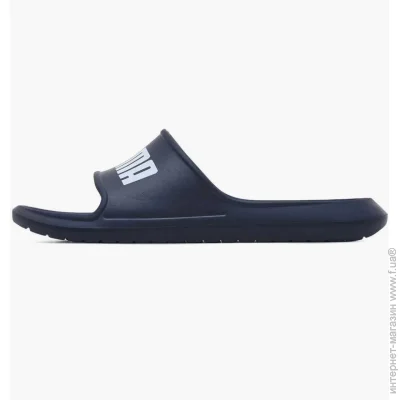   Puma Divecat V2 Lite Blue (374823-02-46)