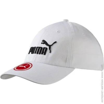 Puma  ESS Cap 5291910 OS 