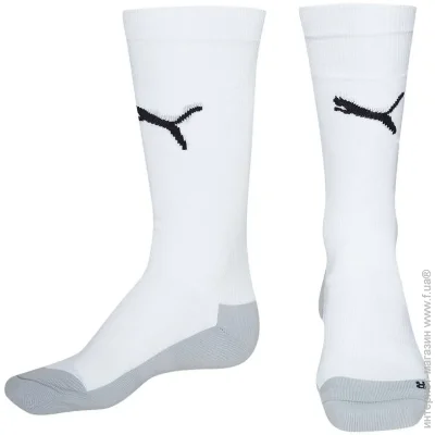  Puma Indoor (746326-04-43-46)
