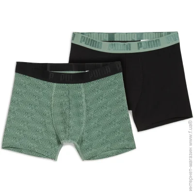   Puma   MEN PRINTED BOXERS 2P 93897204 L 