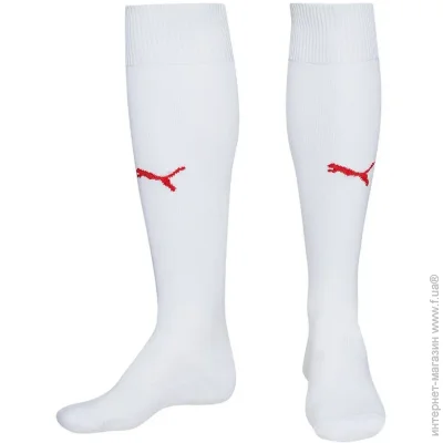  Puma Team (701268-12-39-42)