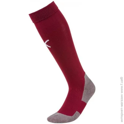  Puma TEAM LIGA (703441-09-39-42)